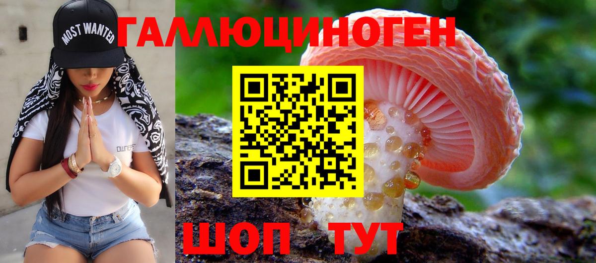 Новозыбков  Псилоцибиновые грибы прущие грибы  Вход с VPN 