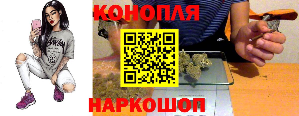Каннабис планчик Новозыбков
